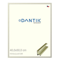 DANTIK rámeček 40 × 50, ALU profil 7269 zlatý matný sklo čiré