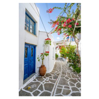 Fotografie White Cycladic houses with blue door, imageBROKER/Mara Brandl, 26.7 × 40 cm