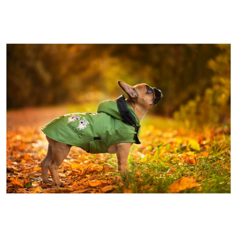 Vsepropejska Autumn pláštěnka pro psa Barva: Zelená, Délka zad (cm): 21, Obvod hrudníku: 26 - 42