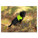 Vsepropejska Rainy obleček pro psa na zip Barva: Černo-žlutá, Délka zad (cm): 59, Obvod hrudníku
