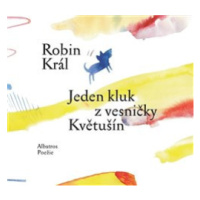 Jeden kluk z vesničky Květušín - Robin Král