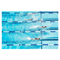 Fotografie Competitive swimmers racing in outdoor pool, Thomas Barwick, 40x26.7 cm