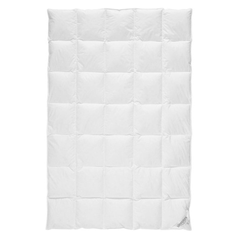 Sleeptex CELOROČNÍ PŘIKRÝVKA cm, peří, prachové peří