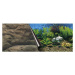 Ebi Photo Decor Sea + Rock 120 x 50cm