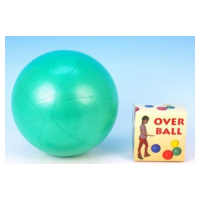 Míč Overball rehabilitační 26 cm max. zatížení 120 kg, mix barev