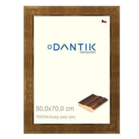 DANTIK rámeček 50 × 70, TRITON široký zlatý plexi čiré