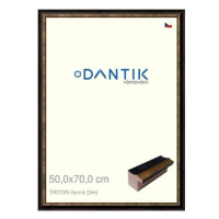 DANTIK rámeček 50 × 70, TRITON černý plexi čiré