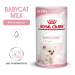 Royal Canin Babycat Milk, 300 g