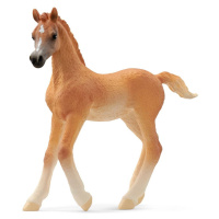 Schleich 13984 zvířátko arabské hříbě