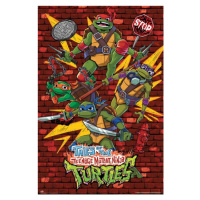 Plakát, Obraz - Tales of the Teenage Mutant Ninja Turtles, 61 × 91.5 cm