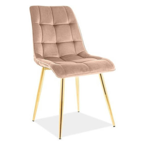 Signal Čalouněná jídelní židle Chic Gold Velvet béžová
