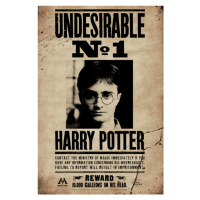 Umělecký tisk Harry Potter - Undesirable No 1, 26.7x40 cm