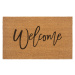 Hanse Home Collection koberce Rohožka Welcome 105570 - na ven i na doma - 45x75 cm