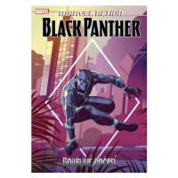 Marvel Action - Black Panther - Bouřlivé počasí | Kolektiv, Petr Novotný