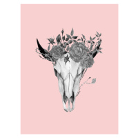 Ilustrace skullheadpink, Finlay & Noa, 30 × 40 cm