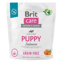 Brit Care Dog Grain-free Puppy 1kg