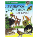 Zvieratká z lesov, lúk a polí - kniha z kategorie Samolepky