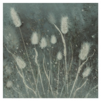 Ilustrace Small grasses, Nel Talen, 40x40 cm