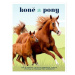 Koně a pony: Vše o koních, jejich plemenech, chovu, výcviku a vybavení pro jezdectví