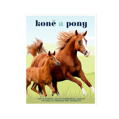 Koně a pony: Vše o koních, jejich plemenech, chovu, výcviku a vybavení pro jezdectví Slovart
