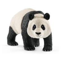 Schleich Panda velká samec