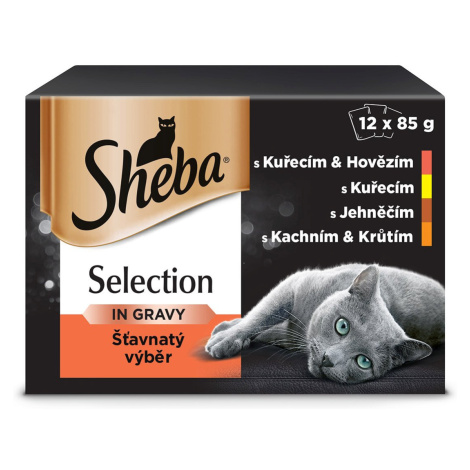 Krmiva pro kočky Sheba