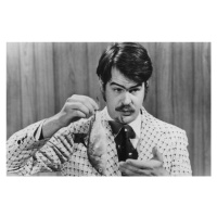 Fotografie The Best Of Dan Aykroyd, Warner Bros., 40 × 26.7 cm