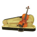 Dimavery Violin 4/4 With Bow In Case