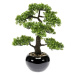 Emerald Umělý fíkus mini bonsai zelený 47 cm 420006