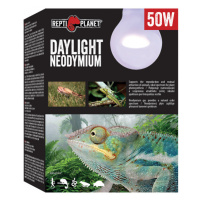 Repti Planet žárovka Daylight Neodymium 50W