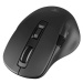 Eternico Wireless Mouse MS480 černá