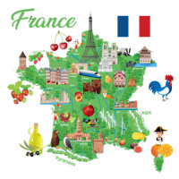 Ilustrace Travel Map of France, drmakkoy, 40 × 40 cm