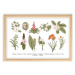 Obraz s rámem z borovicového dřeva Surdic Botanical Flowers, 50 x 70 cm