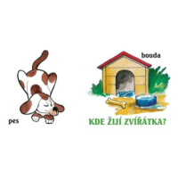 Kde žijí zvířátka?