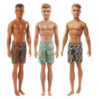 Mattel Barbie Ken v plavkách, více druhů