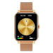 GARETT Smartwatch GRC CLASSIC Gold steel Chytré hodinky