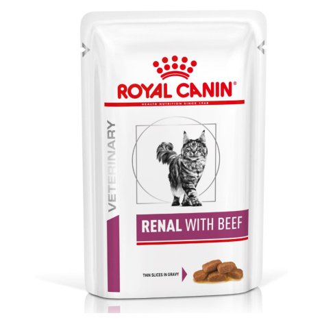 Royal Canin Veterinary Feline Renal - hovězí 12 x 85 g