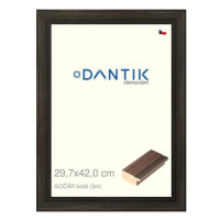 DANTIK rámeček 29,7 × 42, Gočýr šedý plexi čiré