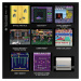 Arcade Cartridge 01. Technos Arcade 1 (Evercade)