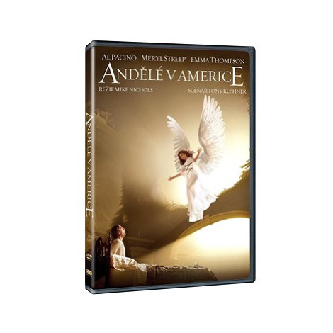 Andělé v Americe (2DVD) - DVD