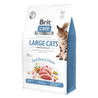 BRIT CARE cat GF LARGE cats power/vitality - 7kg - expirace 15.6.2024