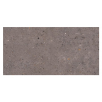 Dlažba Pastorelli Biophilic dark grey 60x120 cm mat P009416