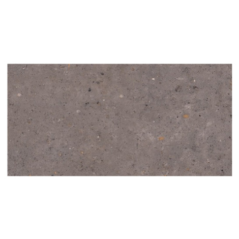 Dlažba Pastorelli Biophilic dark grey 60x120 cm mat P009416