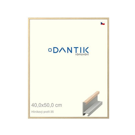 DANTIK rámeček 40 × 50, ALU profil 6035 Dýha dub raw plexi čiré