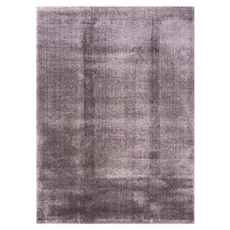 Berfin Dywany Kusový koberec Microsofty 8301 Dark lila - 120x170 cm