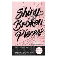 Shiny Broken Pieces