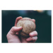 Fotografie Hand holding baseball, Justin Ross, 40 × 26.7 cm