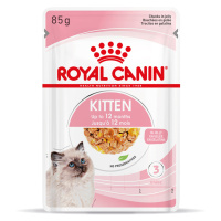 Royal Canin Kitten v želé - 12 x 85 g