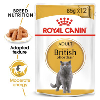 ROYAL CANIN British Shorthair Adult pro britské krátkosrsté kočky 48 × 85 g