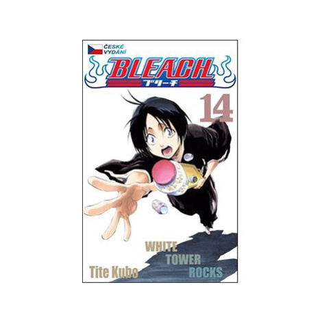 Bleach 14: White Tower Rocks